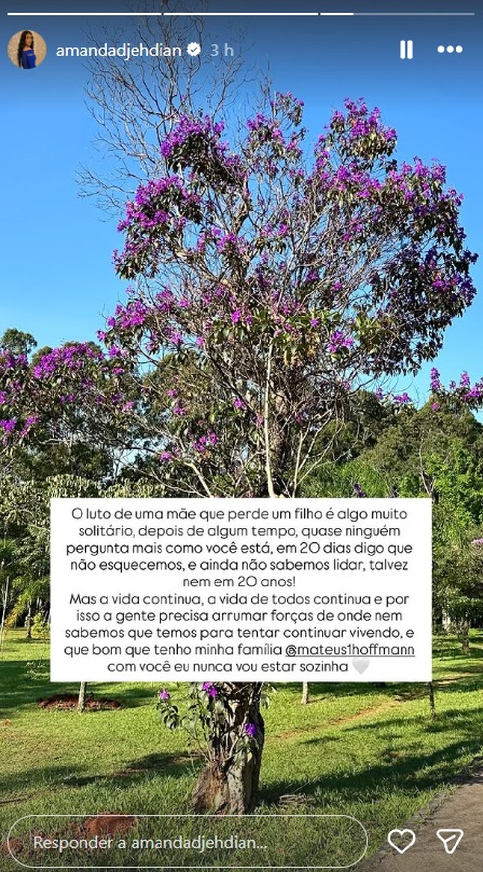 Ex-BBB 15 Amanda Djehdian desabafa sobre luto — Foto: Reprodução/Instagram