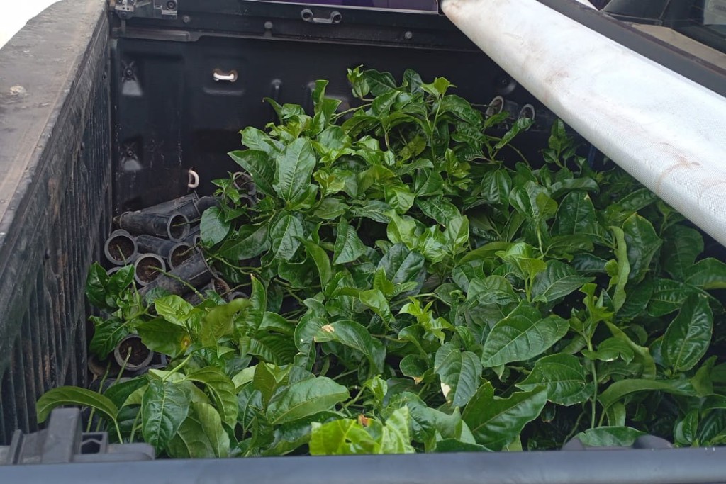 Quintais produtivos fortalecem agricultura familiar e aproximam alimentos do campo da mesa dos estudantes em Várzea Grande